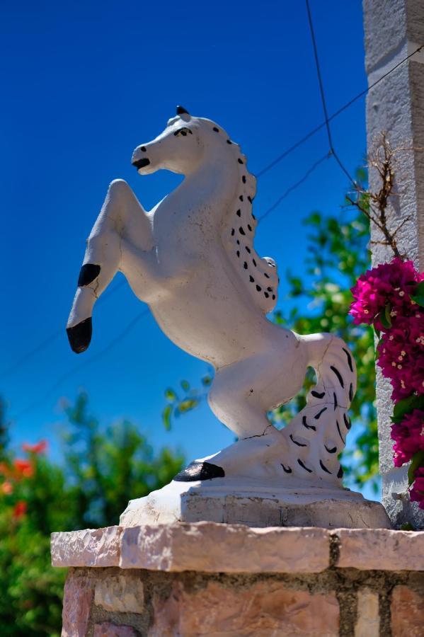 Villa Roel Sarandë Exteriér fotografie